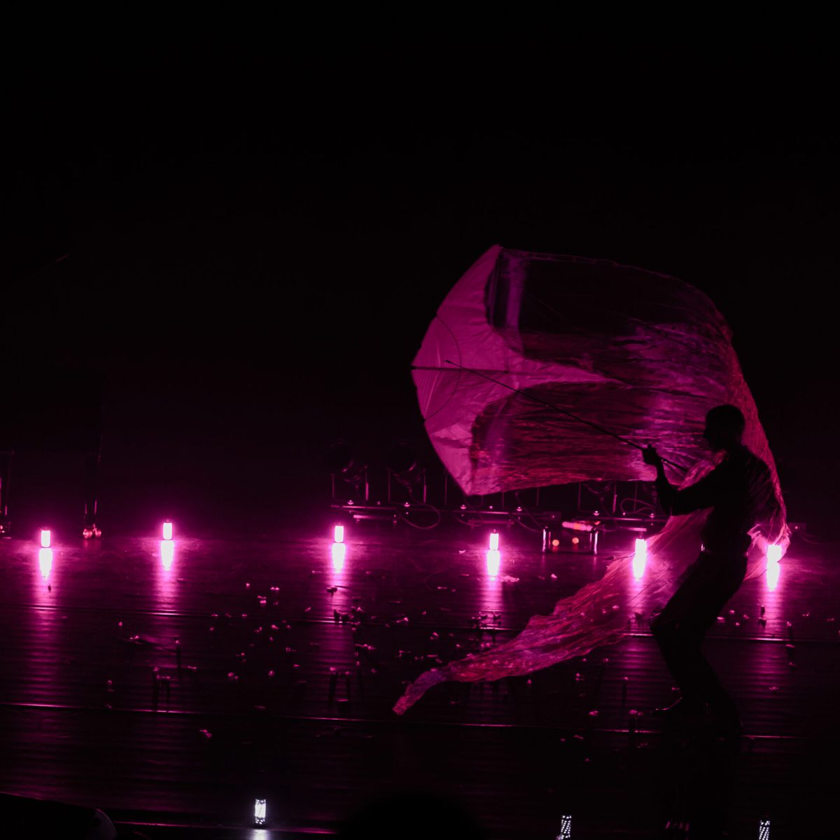 Photo d'un cerf-volant sur canne manipulé dans une salle pour un spectacle LED